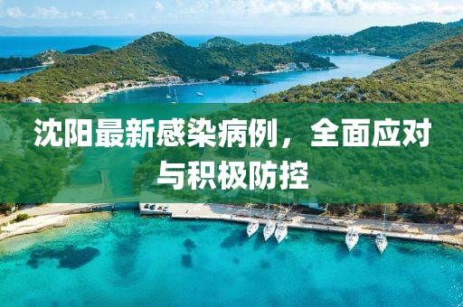 沈陽(yáng)最新感染病例，全面應(yīng)對(duì)與積極防控