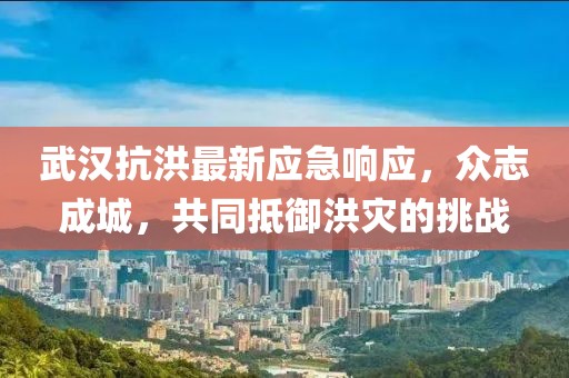 武漢抗洪最新應(yīng)急響應(yīng)，眾志成城，共同抵御洪災(zāi)的挑戰(zhàn)