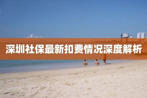 深圳社保最新扣費(fèi)情況深度解析