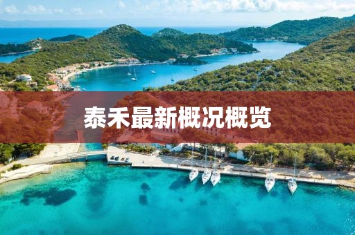 泰禾最新概況概覽