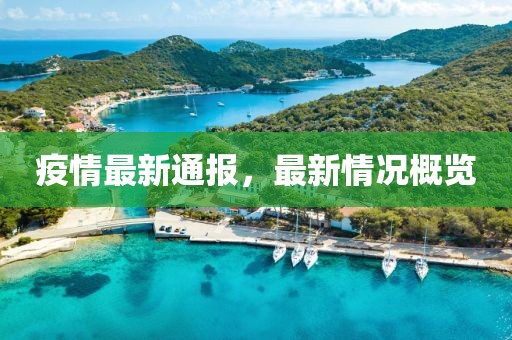疫情最新通報(bào)，最新情況概覽