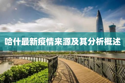 哈什最新疫情來(lái)源及其分析概述
