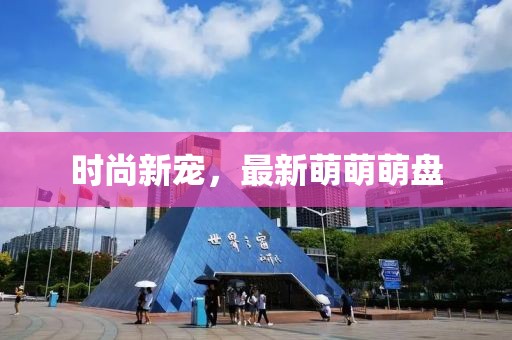 時尚新寵，最新萌萌萌盤