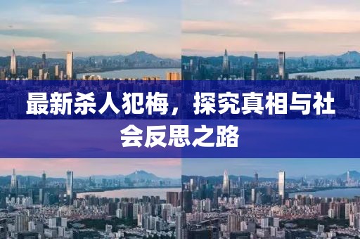 最新殺人犯梅，探究真相與社會反思之路