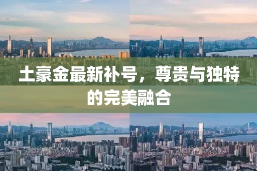 土豪金最新補(bǔ)號(hào)，尊貴與獨(dú)特的完美融合