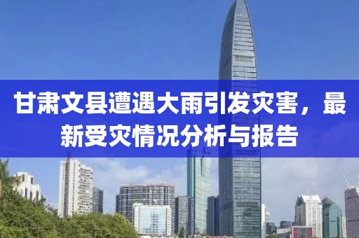 甘肅文縣遭遇大雨引發(fā)災(zāi)害，最新受災(zāi)情況分析與報(bào)告