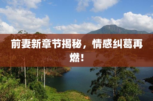 前妻新章節(jié)揭秘，情感糾葛再燃！