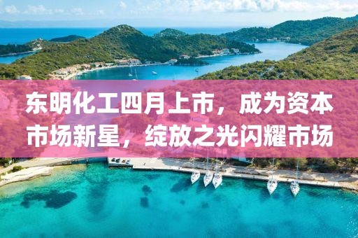 東明化工四月上市，成為資本市場新星，綻放之光閃耀市場
