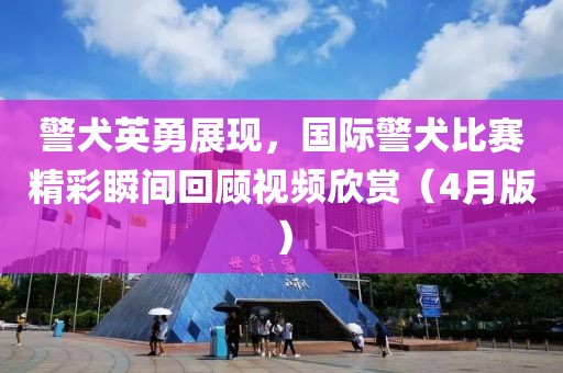 警犬英勇展現(xiàn)，國(guó)際警犬比賽精彩瞬間回顧視頻欣賞（4月版）