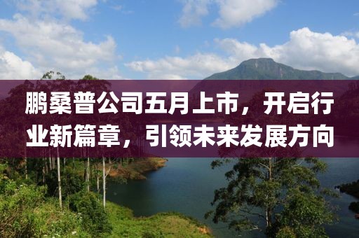 鵬桑普公司五月上市，開啟行業(yè)新篇章，引領(lǐng)未來發(fā)展方向