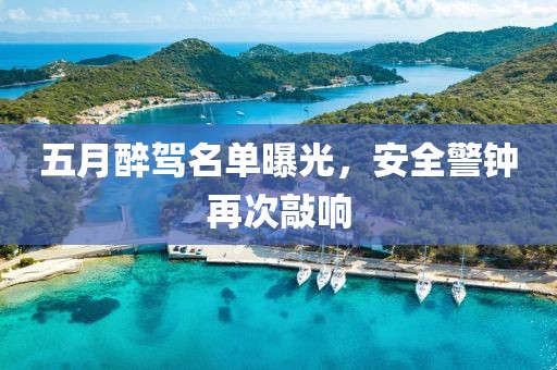 五月醉駕名單曝光，安全警鐘再次敲響