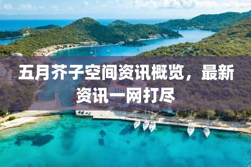 五月芥子空間資訊概覽，最新資訊一網(wǎng)打盡