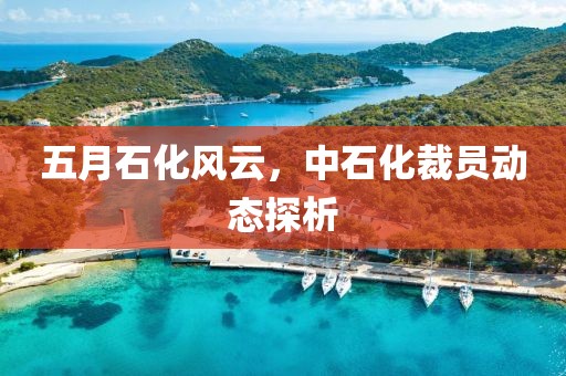 五月石化風云，中石化裁員動態(tài)探析