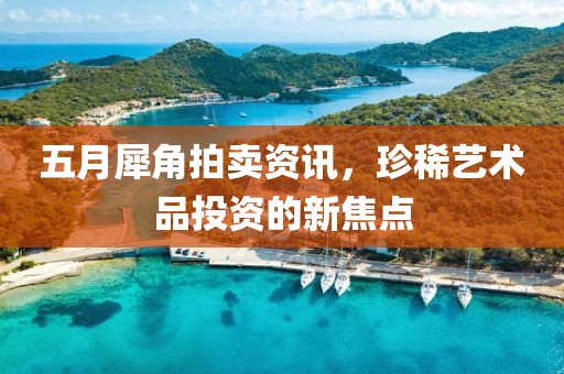 五月犀角拍賣資訊，珍稀藝術(shù)品投資的新焦點(diǎn)