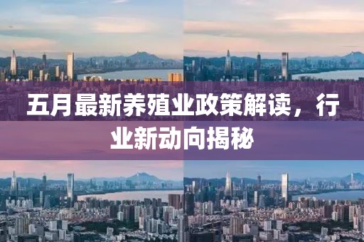 五月最新養(yǎng)殖業(yè)政策解讀，行業(yè)新動向揭秘