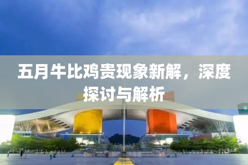 五月牛比雞貴現(xiàn)象新解，深度探討與解析