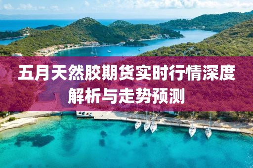 五月天然膠期貨實時行情深度解析與走勢預(yù)測