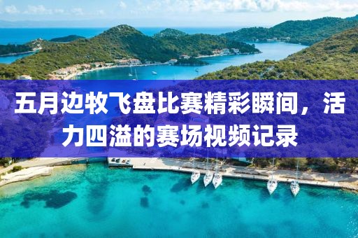 五月邊牧飛盤比賽精彩瞬間，活力四溢的賽場(chǎng)視頻記錄