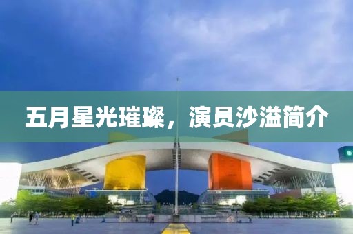 五月星光璀璨，演員沙溢簡介