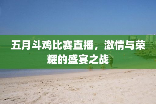 五月斗雞比賽直播，激情與榮耀的盛宴之戰(zhàn)