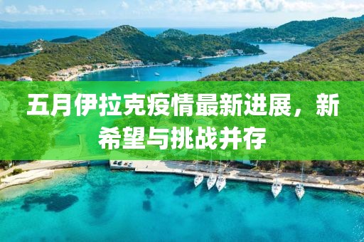 五月伊拉克疫情最新進展，新希望與挑戰(zhàn)并存