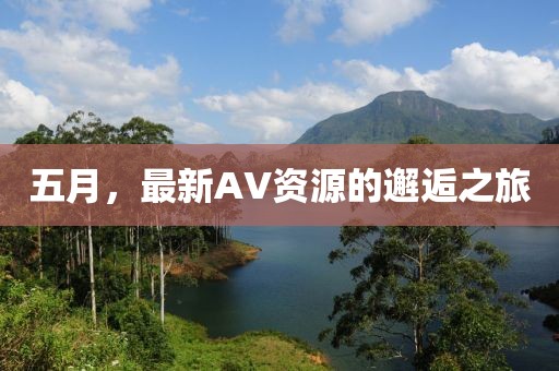 五月，最新AV資源的邂逅之旅