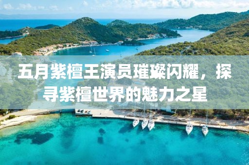 五月紫檀王演員璀璨閃耀，探尋紫檀世界的魅力之星