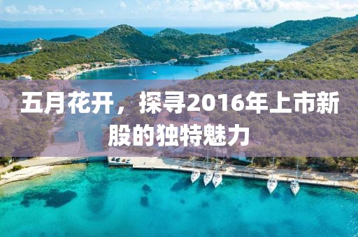 五月花開，探尋2016年上市新股的獨特魅力