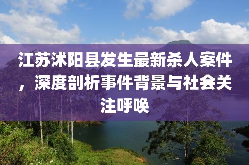 江蘇沭陽縣發(fā)生最新殺人案件，深度剖析事件背景與社會關(guān)注呼喚