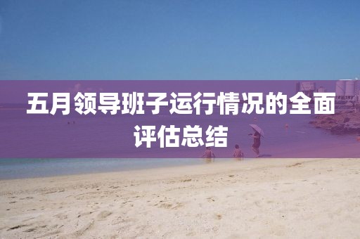 五月領(lǐng)導(dǎo)班子運行情況的全面評估總結(jié)
