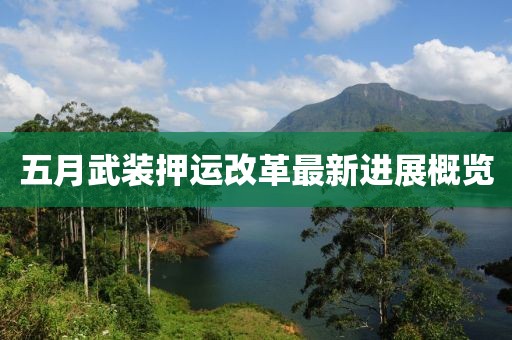 五月武裝押運(yùn)改革最新進(jìn)展概覽