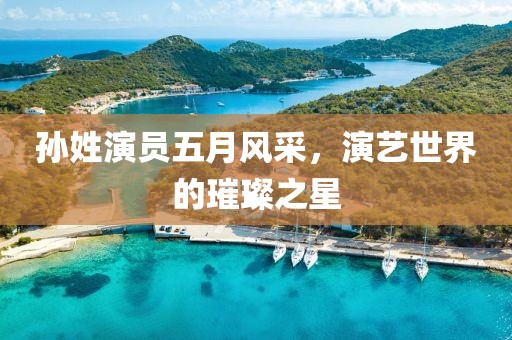 孫姓演員五月風采，演藝世界的璀璨之星