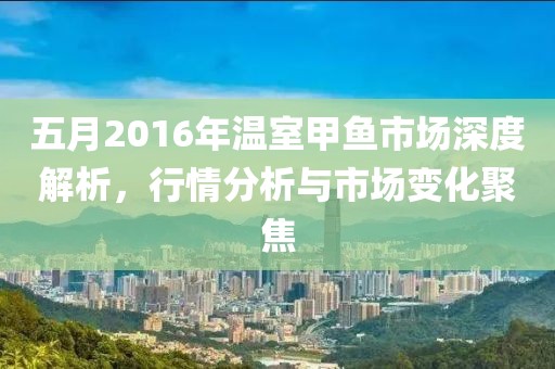 五月2016年溫室甲魚市場深度解析，行情分析與市場變化聚焦