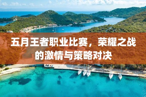五月王者職業(yè)比賽，榮耀之戰(zhàn)的激情與策略對決