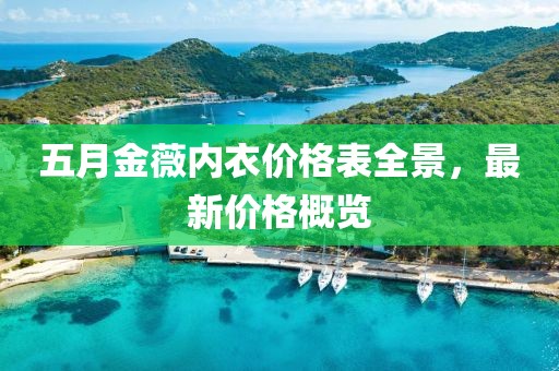 五月金薇內衣價格表全景，最新價格概覽