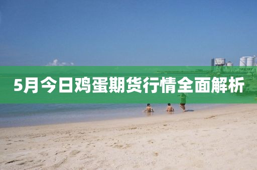 5月今日雞蛋期貨行情全面解析