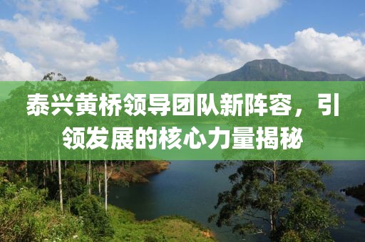 泰興黃橋領(lǐng)導(dǎo)團(tuán)隊(duì)新陣容，引領(lǐng)發(fā)展的核心力量揭秘