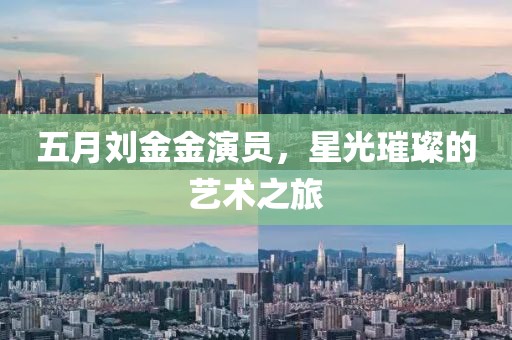 五月劉金金演員，星光璀璨的藝術(shù)之旅