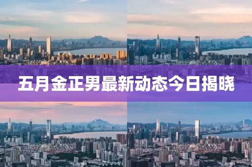 五月金正男最新動(dòng)態(tài)今日揭曉