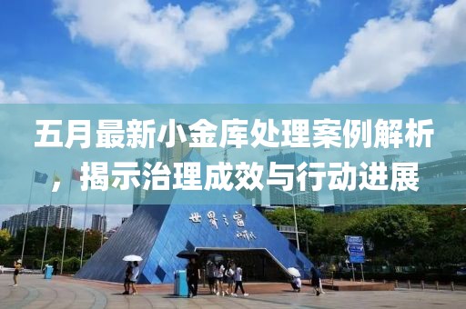 五月最新小金庫處理案例解析，揭示治理成效與行動進展