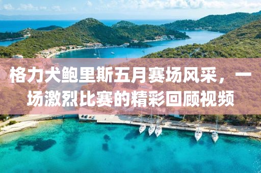 格力犬鮑里斯五月賽場風(fēng)采，一場激烈比賽的精彩回顧視頻