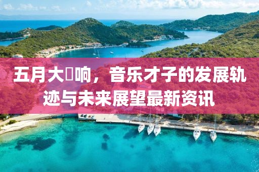 五月大槻響，音樂才子的發(fā)展軌跡與未來展望最新資訊