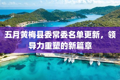 五月黃梅縣委常委名單更新，領(lǐng)導(dǎo)力重塑的新篇章