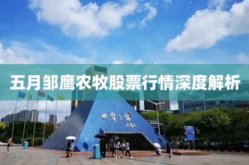 五月鄒鷹農(nóng)牧股票行情深度解析