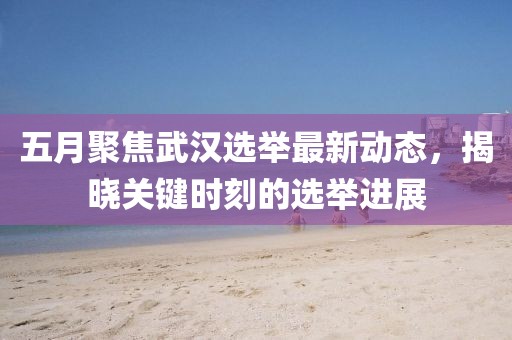 五月聚焦武漢選舉最新動(dòng)態(tài)，揭曉關(guān)鍵時(shí)刻的選舉進(jìn)展