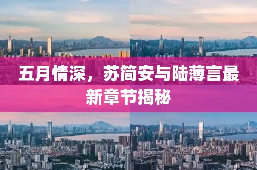 五月情深，蘇簡(jiǎn)安與陸薄言最新章節(jié)揭秘