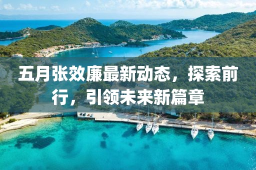 五月張效廉最新動(dòng)態(tài)，探索前行，引領(lǐng)未來(lái)新篇章