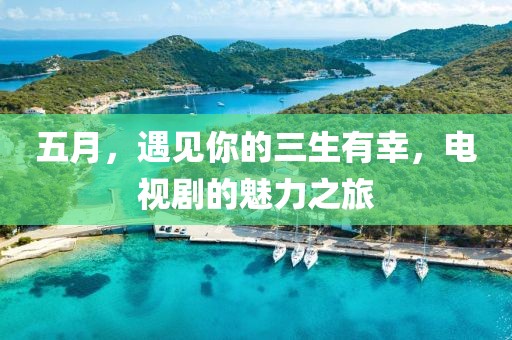五月，遇見你的三生有幸，電視劇的魅力之旅