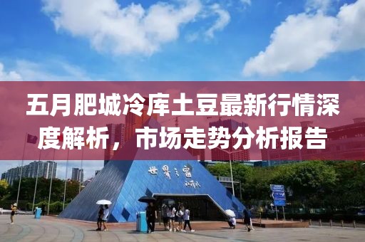 五月肥城冷庫(kù)土豆最新行情深度解析，市場(chǎng)走勢(shì)分析報(bào)告