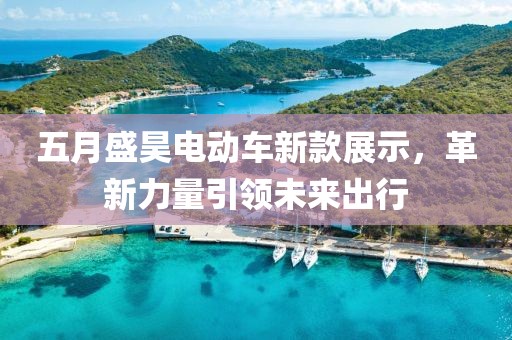 五月盛昊電動車新款展示，革新力量引領(lǐng)未來出行